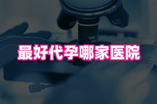 江苏助孕网 3