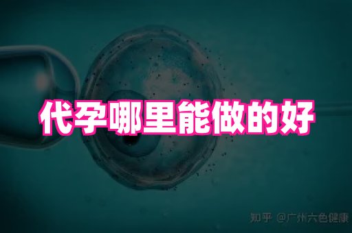 江苏助孕网 4